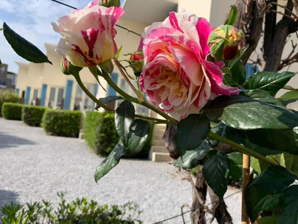 Hotel L'Etape 卢贝新城 外观 照片